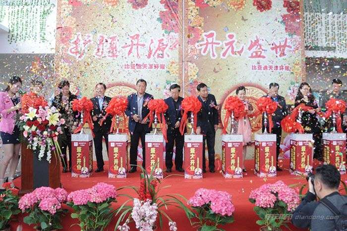 贺比亚迪天津环耀店开业庆典暨元上市活动圆满