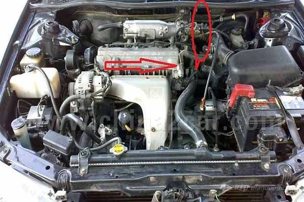 汽车寿命排行_10月汽车典型问题排名新鲜出炉:紧凑级车篇