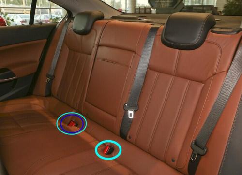 乘坐汽车后排座椅需要系安全带吗?