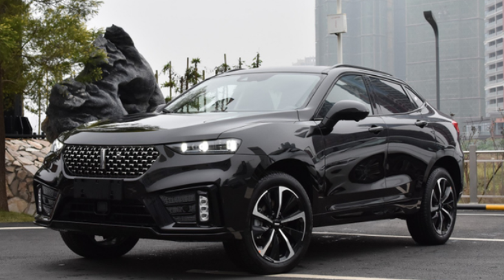 wey vv7 gt汸ʱа,2.0tͺĵ10l! ͼ