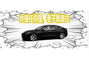 喂！Model 3还得降价呢！6月15000个韭菜你们急啥呢？！