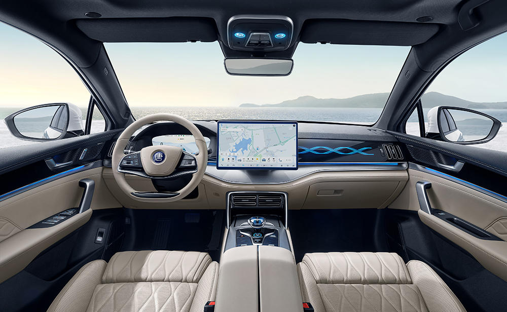 唐DM-p冠军版 (1).jpg