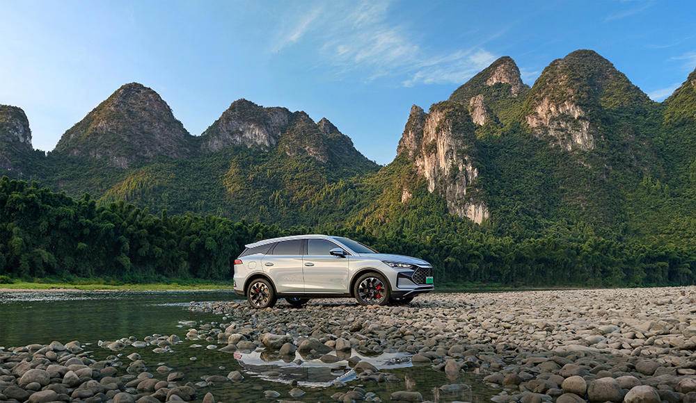 唐DM-p冠军版 (4).jpg