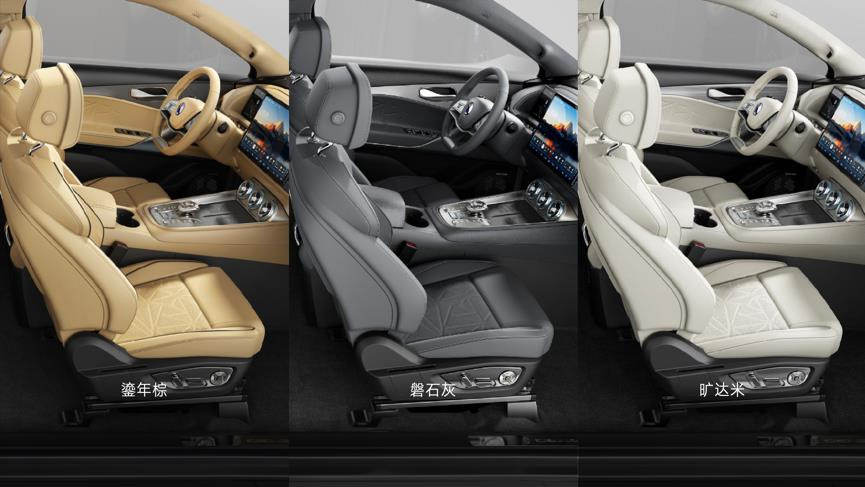 内饰颜色图片_副本.jpg
