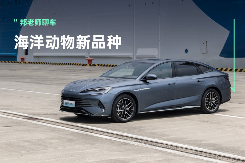 动力细腻+座舱高级，这样的海豹DM-i能扮演什么角色？