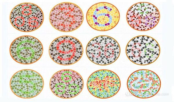 考驾照体检项目:辨色力