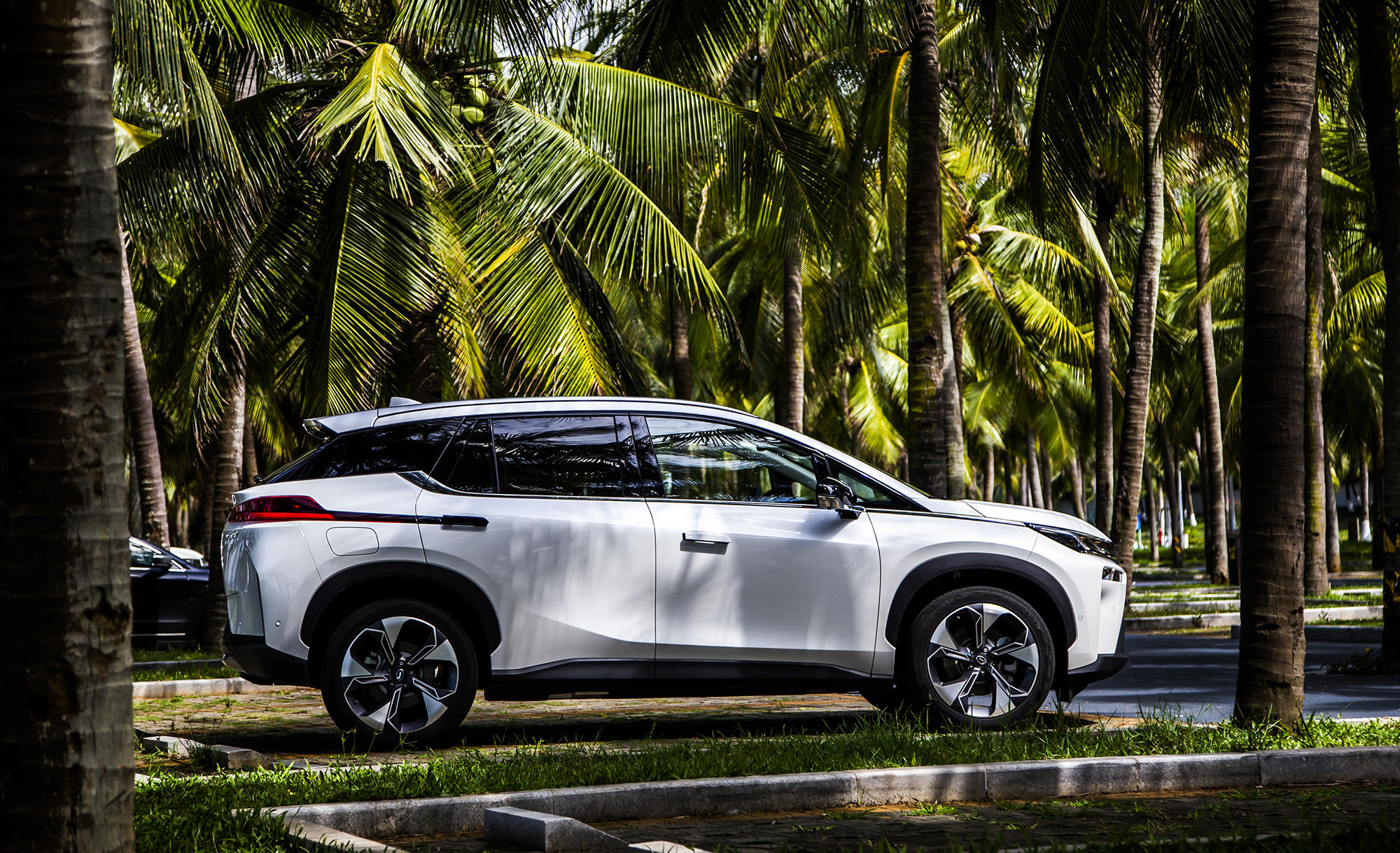 广汽新能源aion v上市!