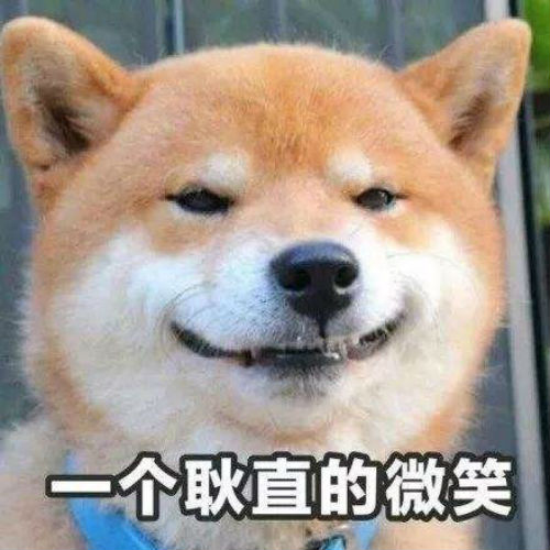 doggy表情包图片