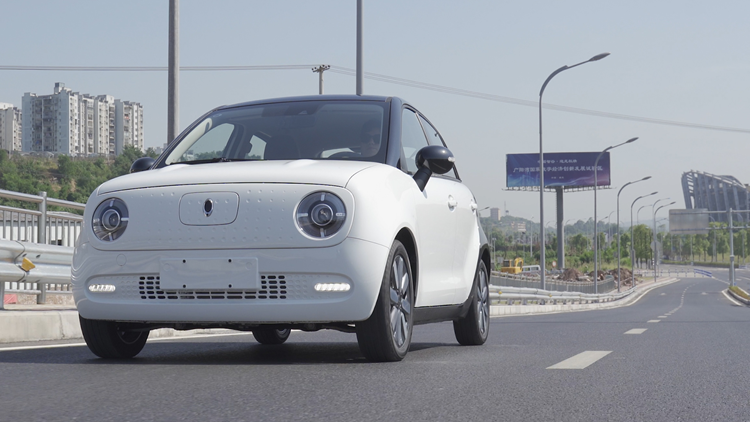 欧拉黑猫萌宠版上市!换装磷酸铁锂电池